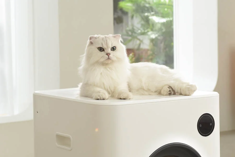 best self cleaning litterbox